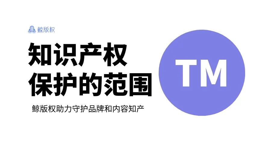 知识产权保护的范围：从著作权法到专利法