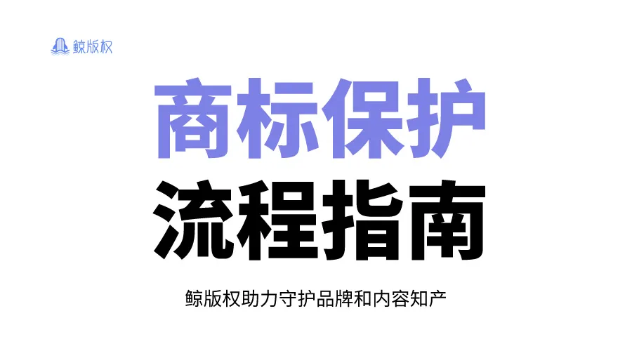 商标保护流程及指南