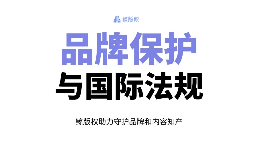 品牌保护与国际法规：全球视野下的知识产权战略