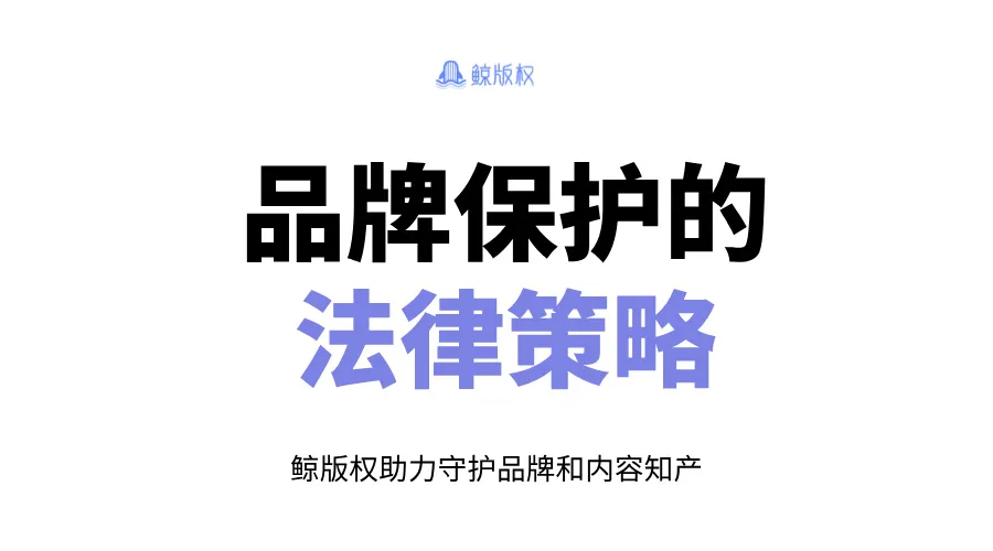 品牌保护的法律策略：全面提升企业商标维权能力