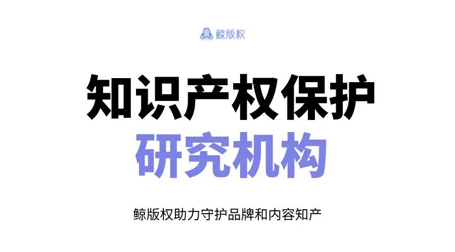 知识产权保护研究机构：创新与法律的守护者