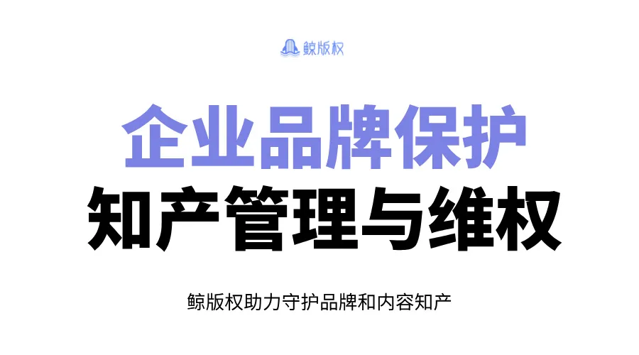 企业品牌保护-知识产权保护与管理维权指南